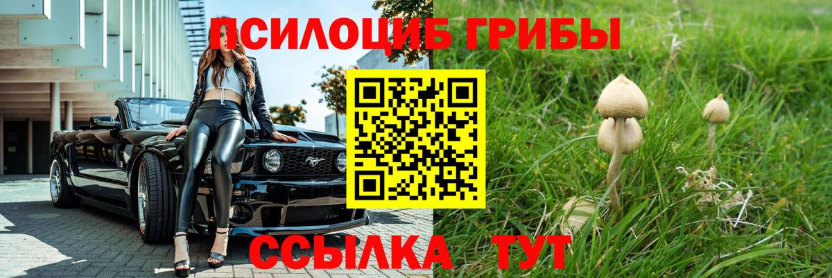 Приморско-Ахтарск  Псилоцибиновые грибы Psilocybe  Вход с VPN 