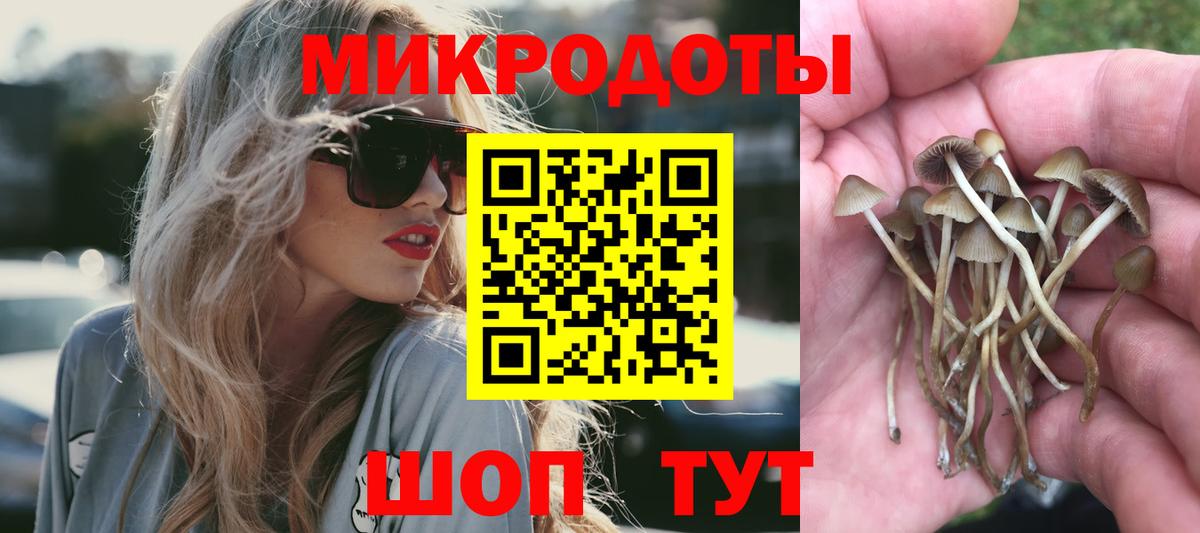 Галлюциногенные грибы MAGIC MUSHROOMS Приморско-Ахтарск